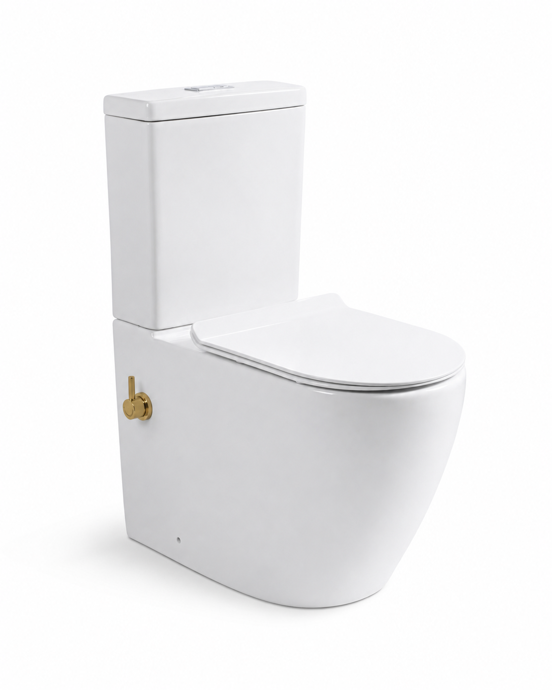027 D-Shape Rimless Close Coupled Bidet Toilet