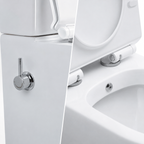 Comfort Height Close Coupled Bidet Toilet