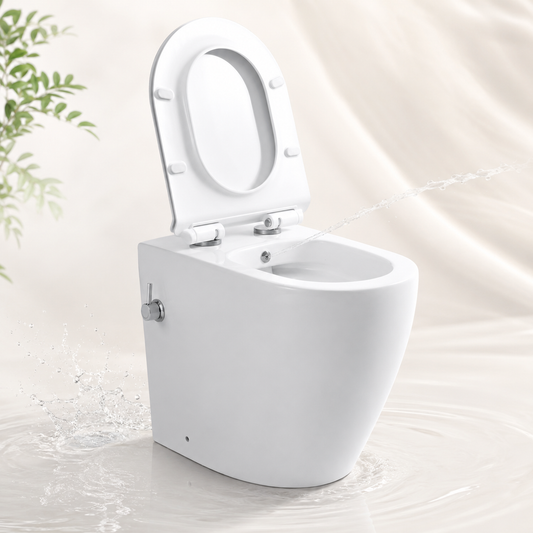 Back-to-Wall Round Rimless Bidet Toilet – 107N