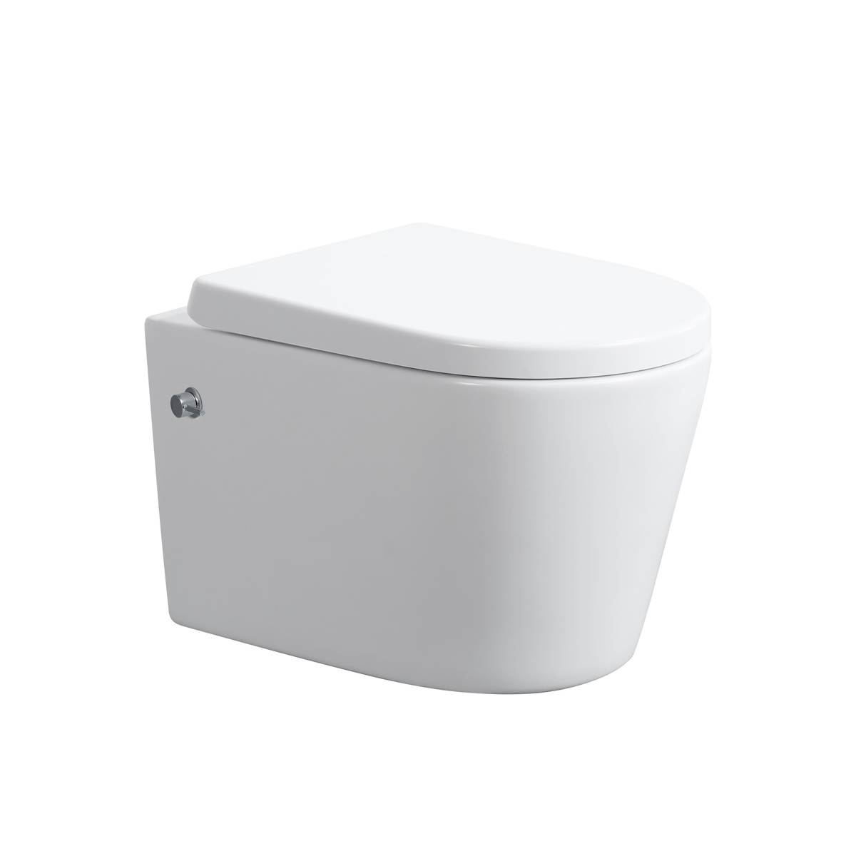 Wall Hung Rimless Bidet Toilet with Seat - Gloss White