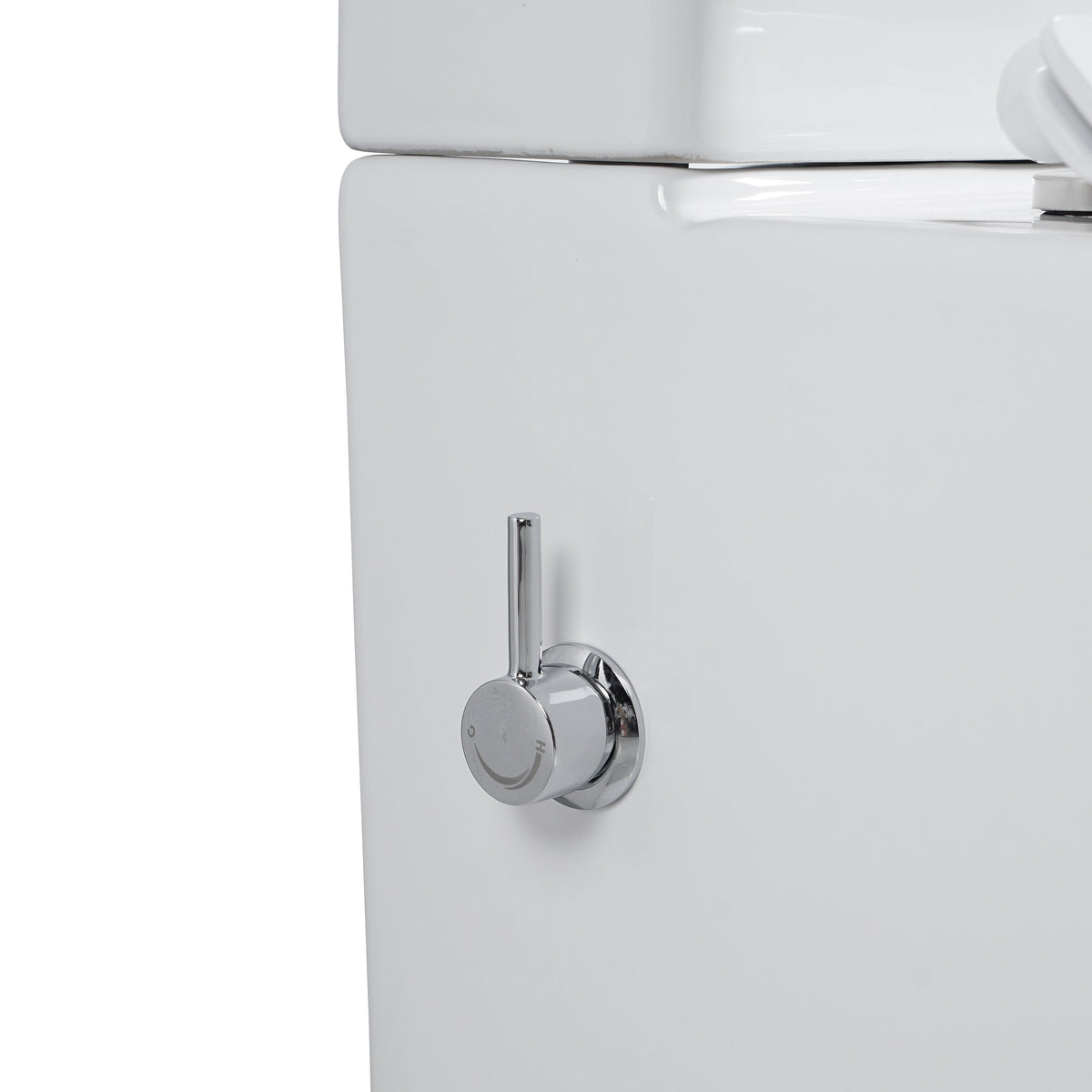 D-Shape Semi Comfort Height Rimless Close Coupled Bidet Toilet