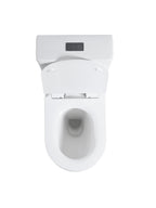 D-Shape Semi Comfort Height Rimless Close Coupled Bidet Toilet