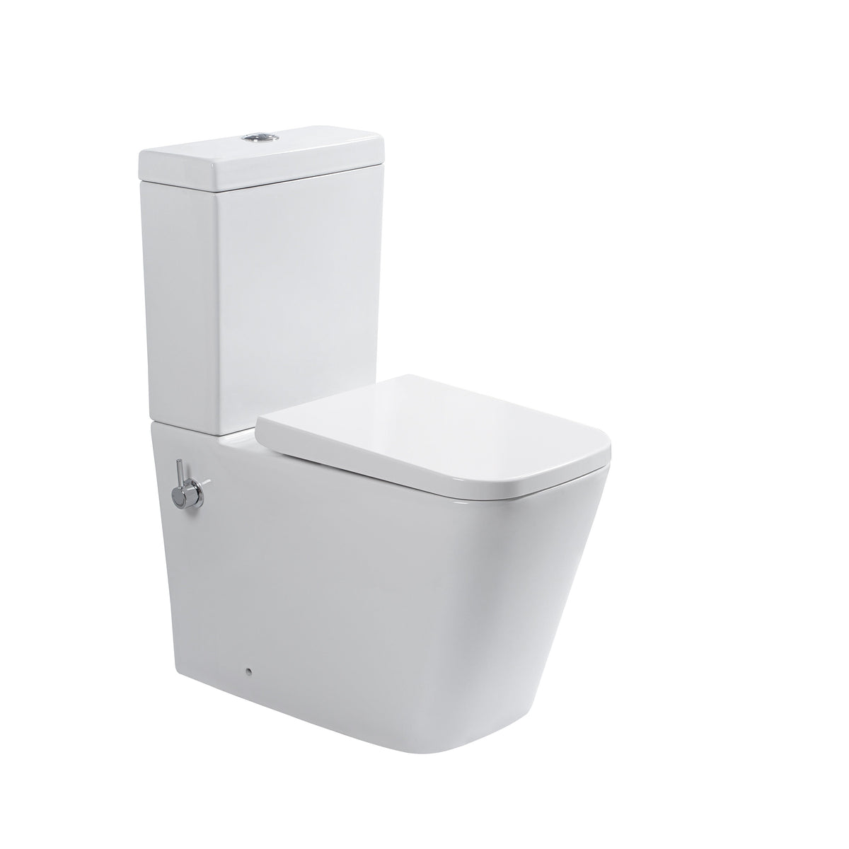 Close Coupled Soft Close Seat Square Rimless Bidet Toilet