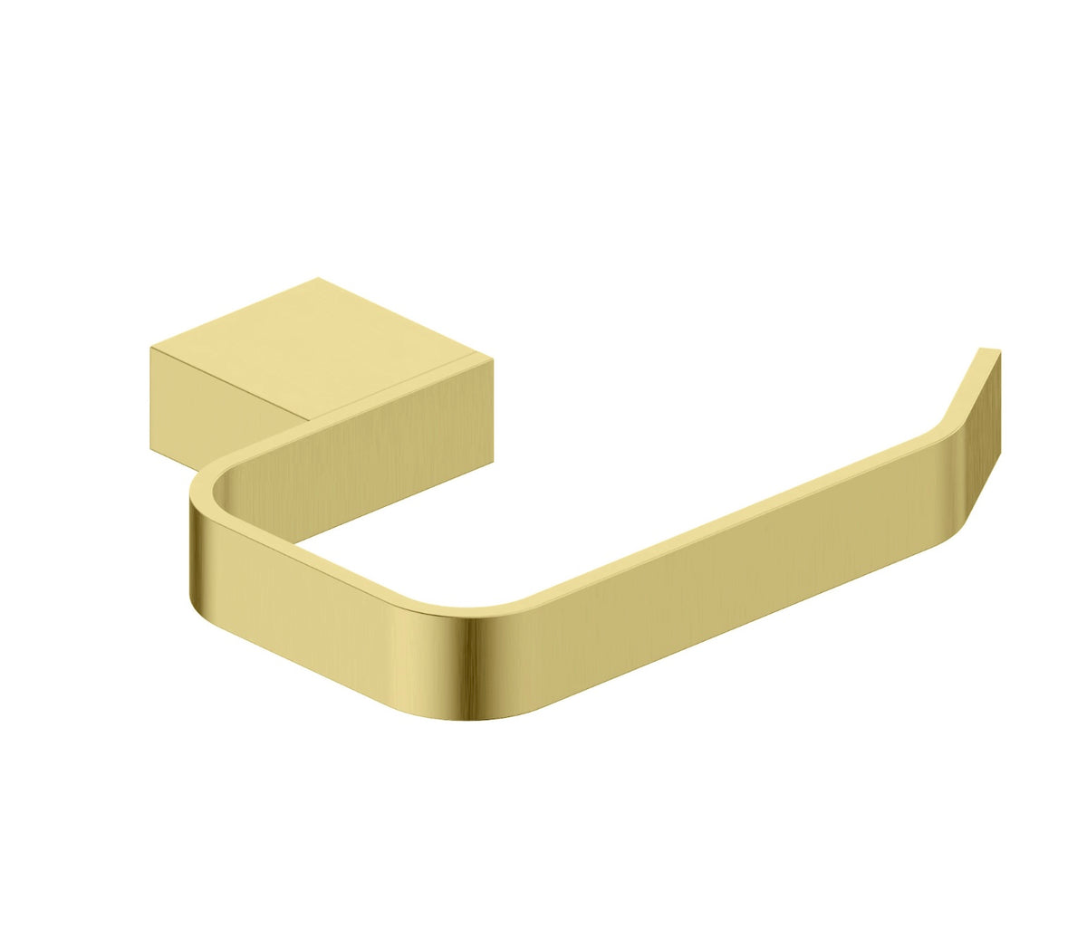 Paper Holder Brushed Matt Finish